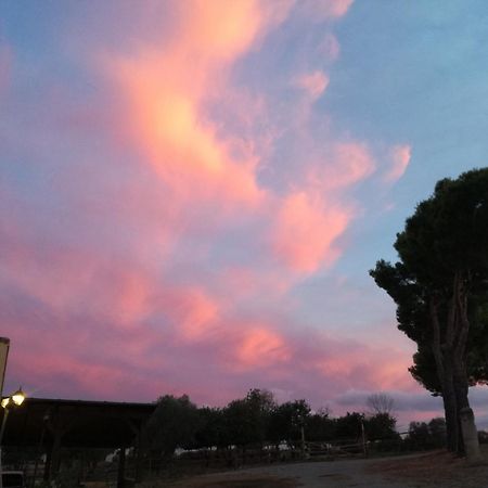 Agriturismo Fontelisa Villa Montiano  Luaran gambar